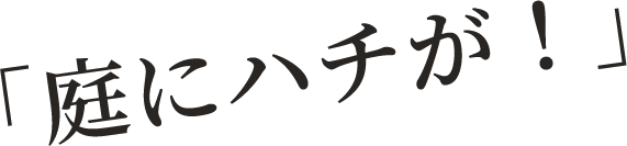 「庭にハチが！」